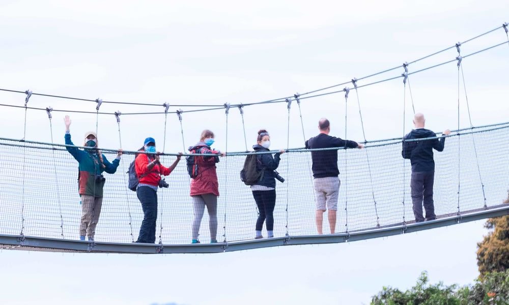 Canopy Walk in Nyungwe Forest National Park