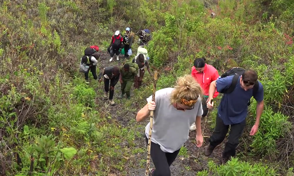 Mountain Hiking in Volcanoes National Park