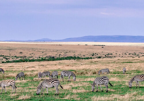 7 Days Across Kenya Wildlife Safari Tour