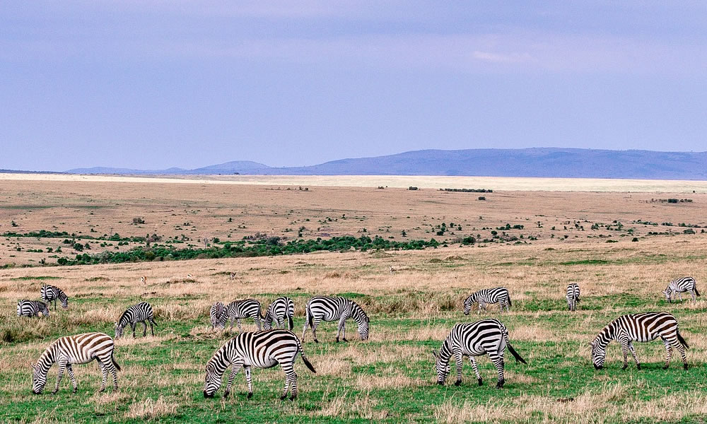 7 Days Across Kenya Wildlife Safari Tour