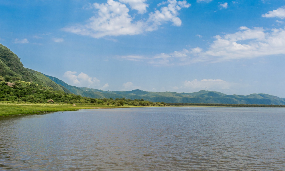 3 Days Lake Manyara National Park Safari