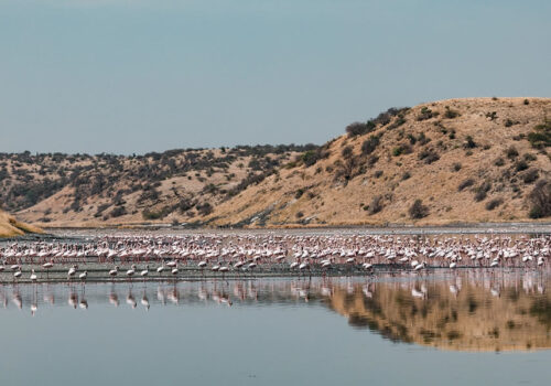 3 Days Lake Nakuru National Park Tour