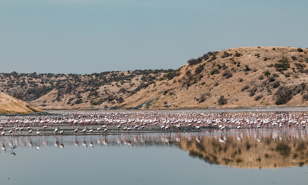 3 Days Lake Nakuru National Park Tour