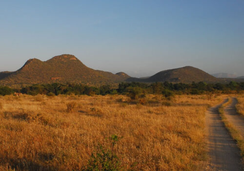 2 Days Samburu National Park Safari