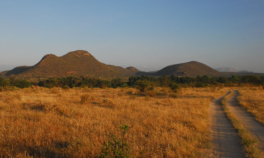 2 Days Samburu National Park Safari