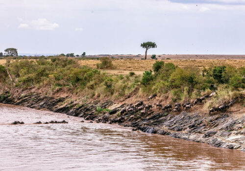 4 Days Masai Mara National Park Safari