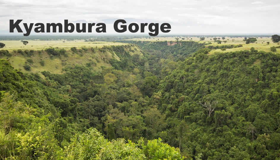 Kyambura gorge in Queen Elizabeth National Park